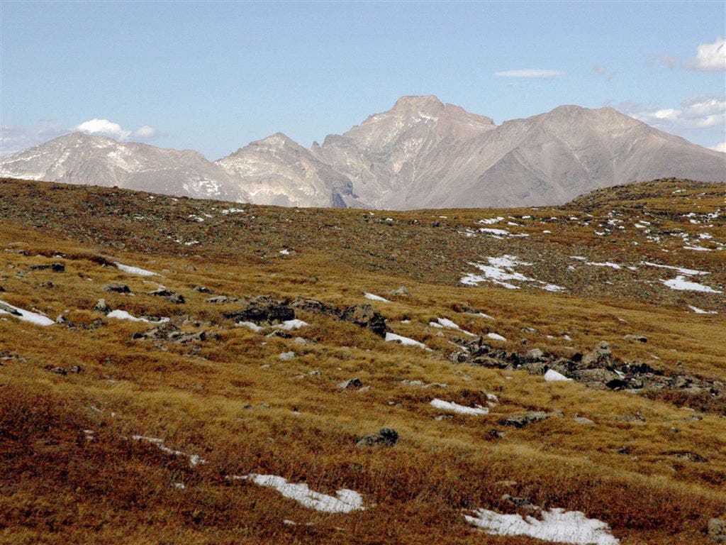 View of Longs Peak None