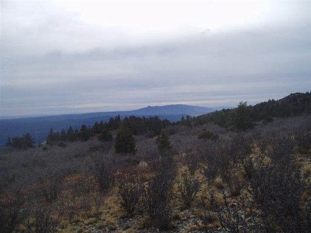 View of Manzano Mountains None