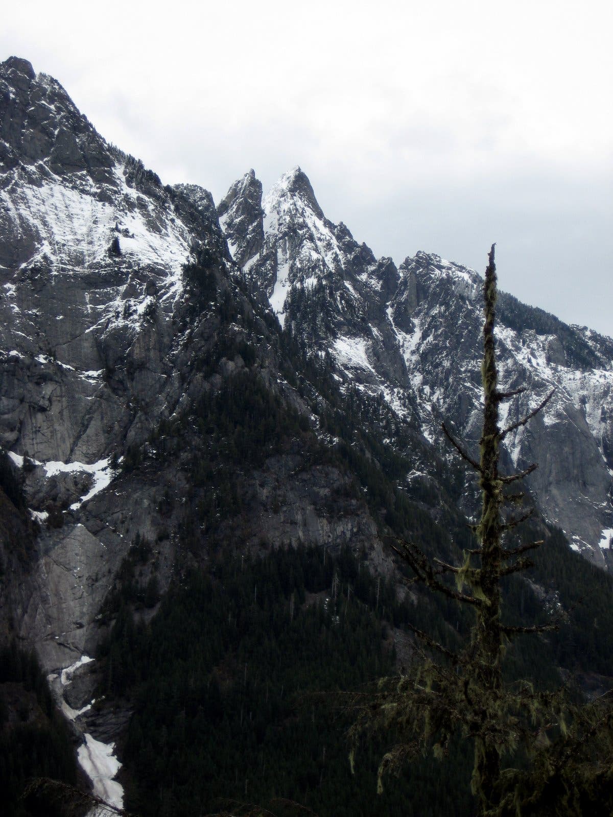 View of Mt. Garfield None