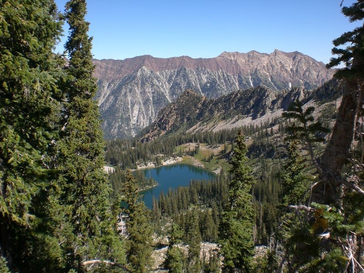 View of Mt. Timpanogos None