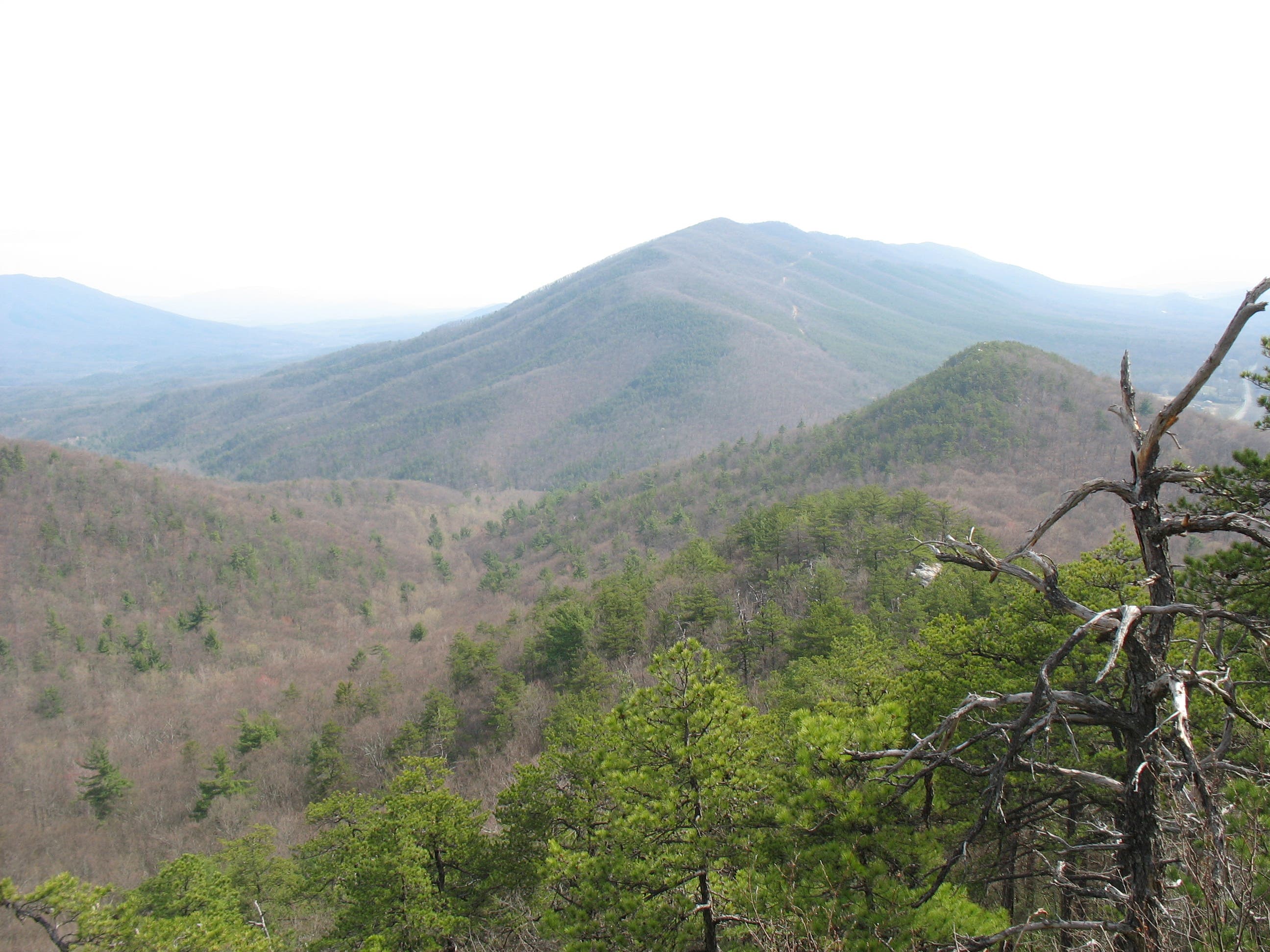 View of North Mountain None