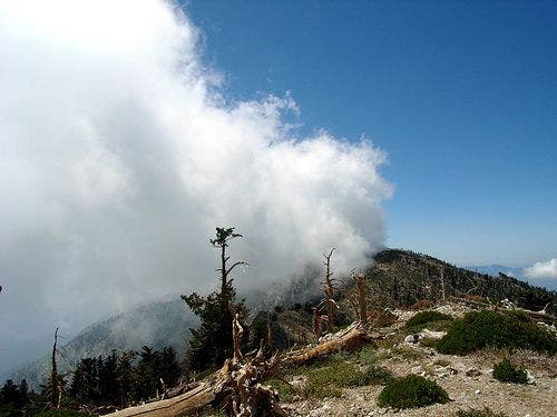View of Ontario from Bighorn None