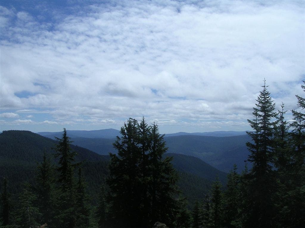 View of Salmon-Huckleberry Wilderness None
