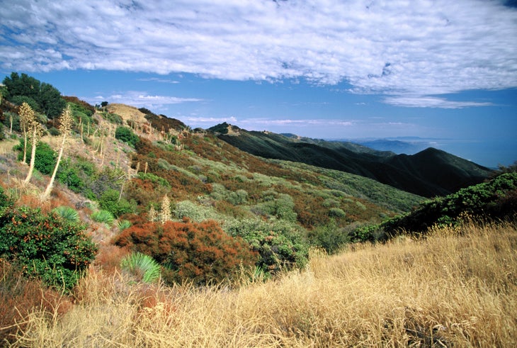 View of Santa Ynez Ridge None