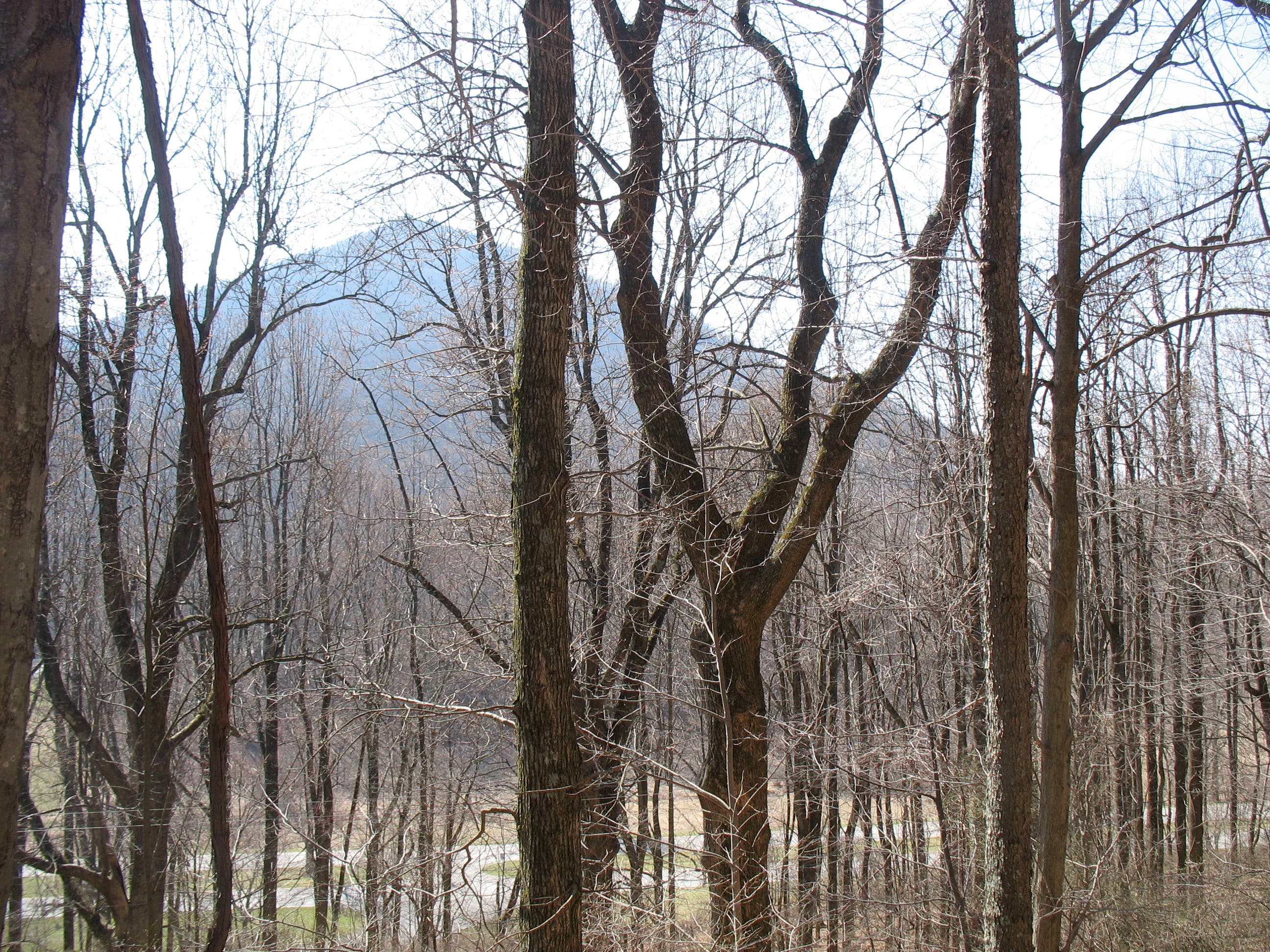 View of Sharp Top Mountain None