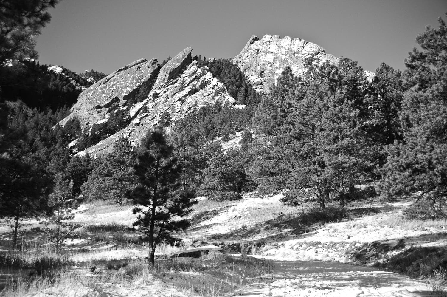 Black and white trail view of the Flatirons.