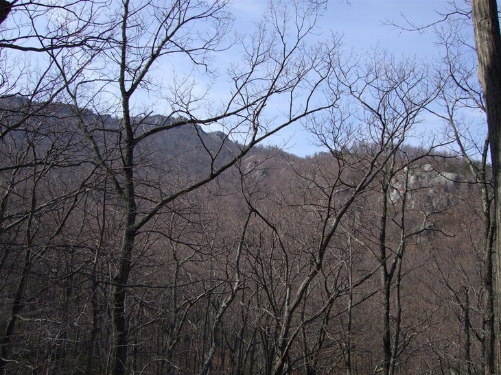 View of the Summit None