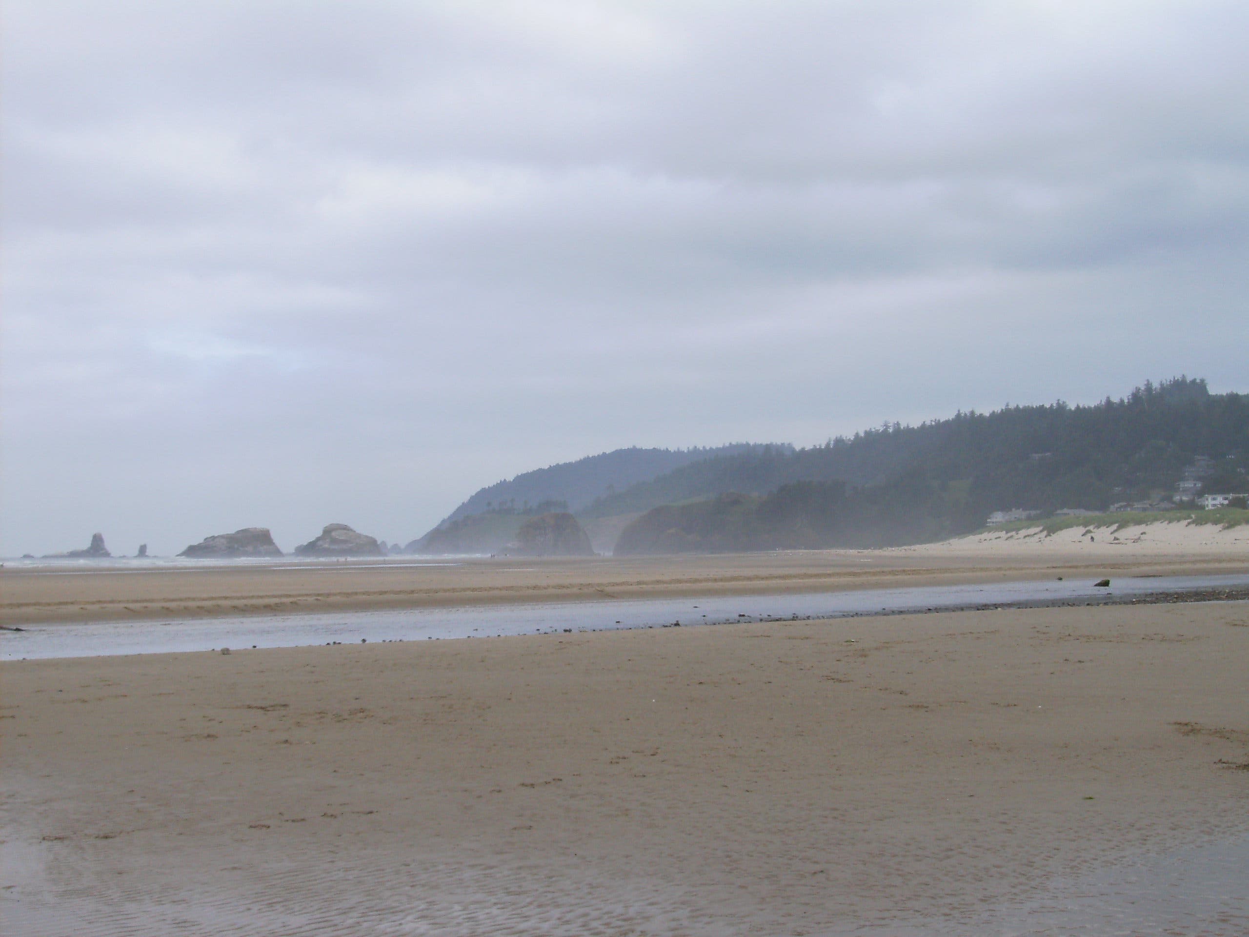 View of Tillamook Head None