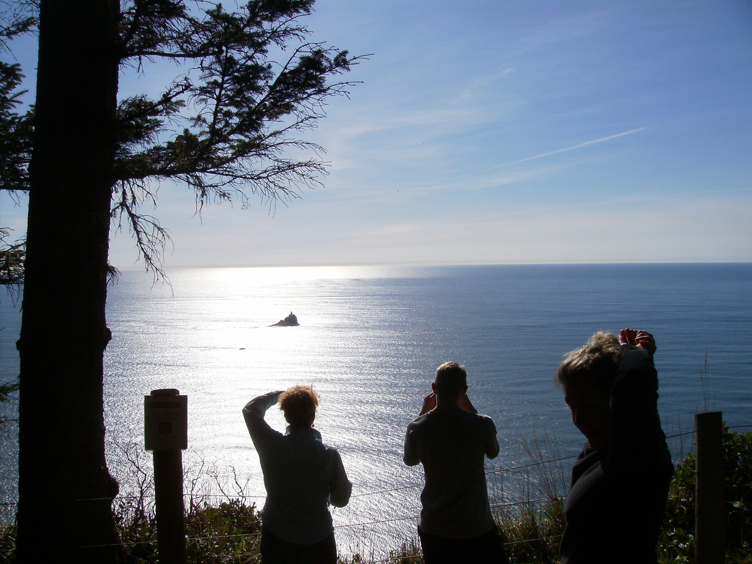 View of Tillamook Rock Lighthouse None