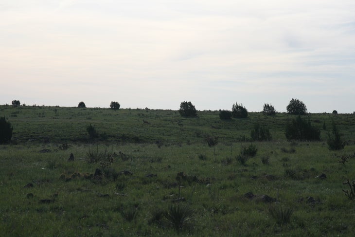 View to the east None