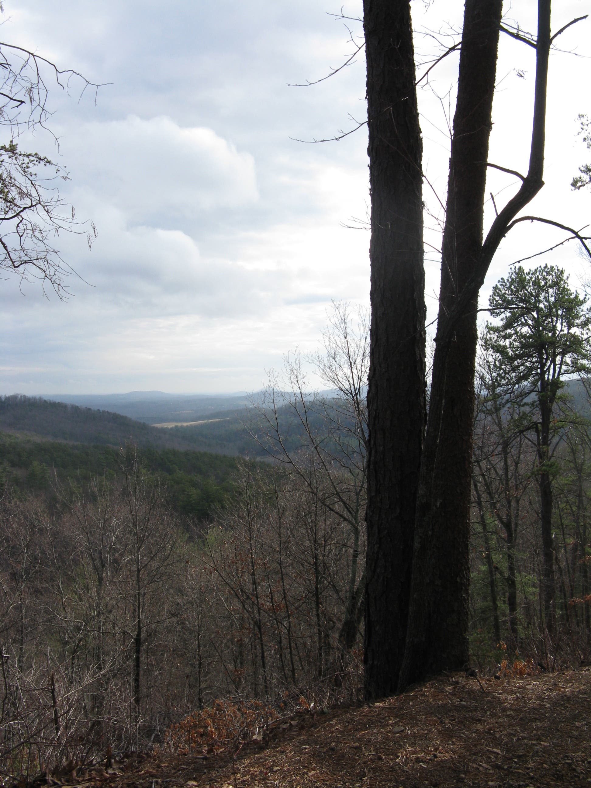 View to the Southeast None