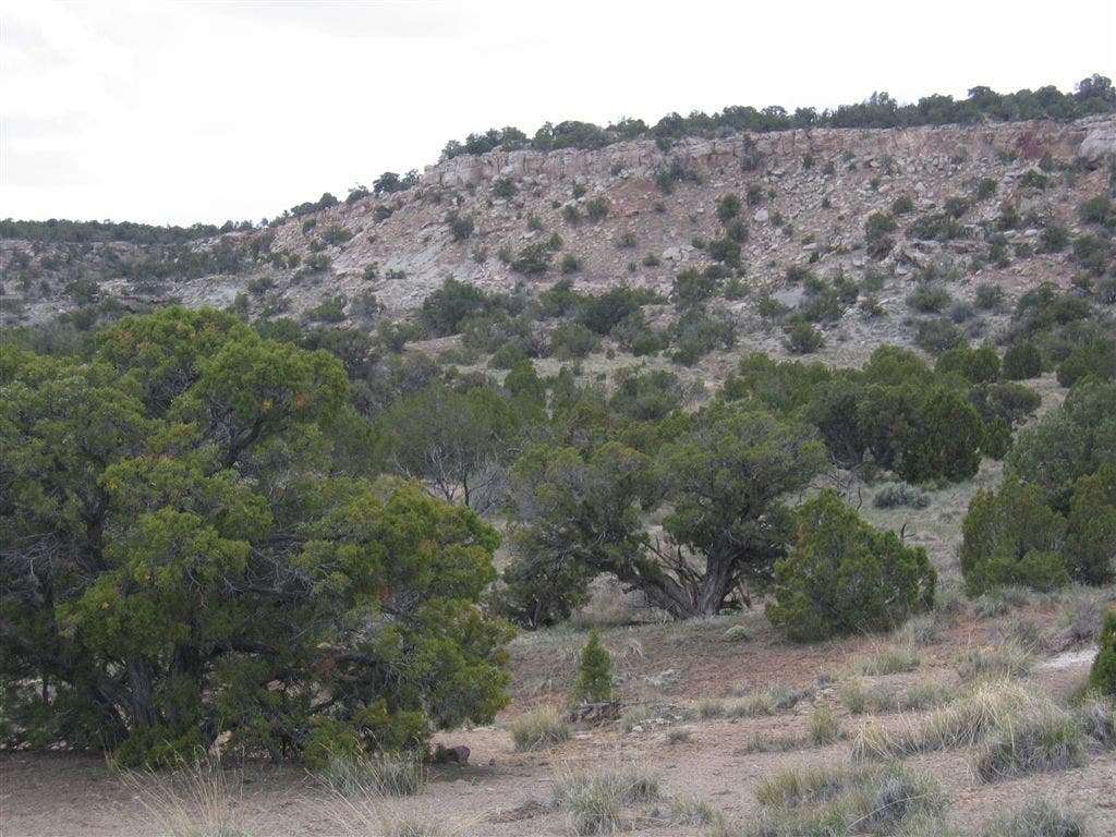 View to the Southwest None