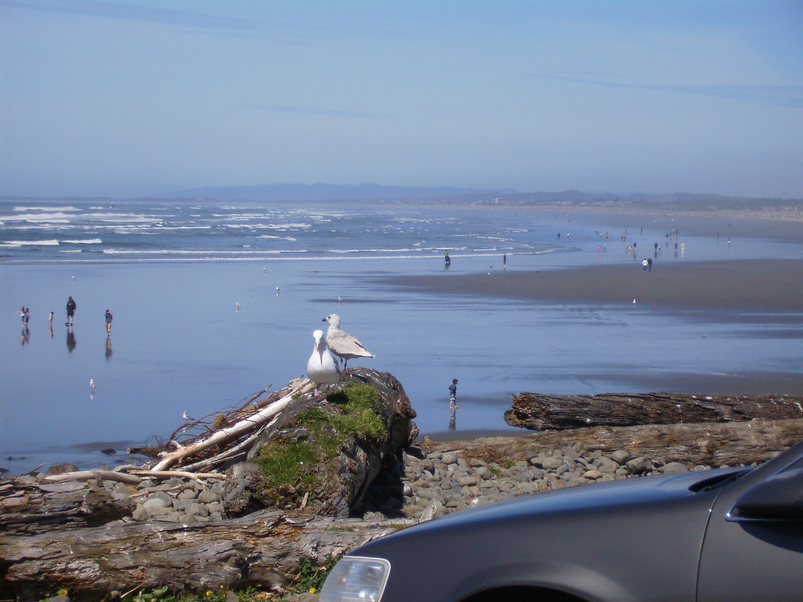 View to Washington None