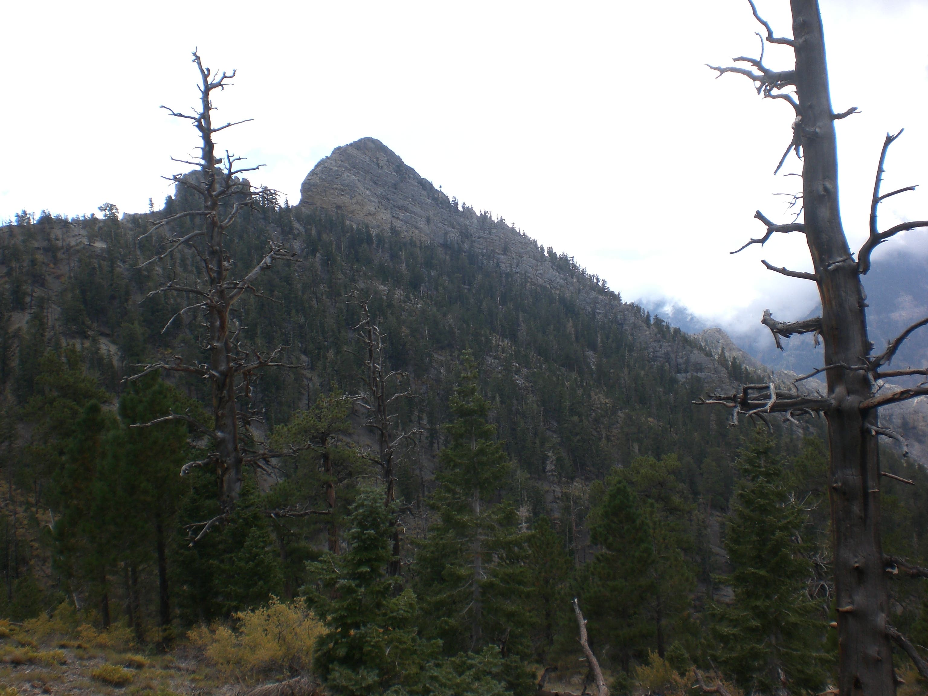 View Towards Kyle Canyon None