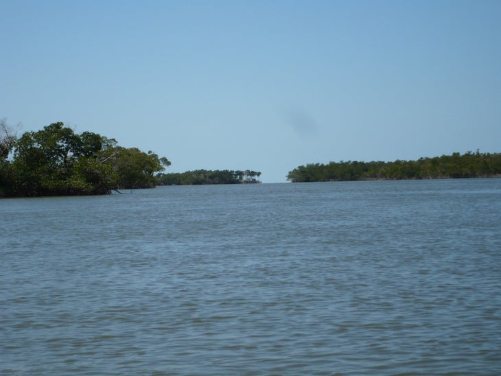 View towards the Gulf None