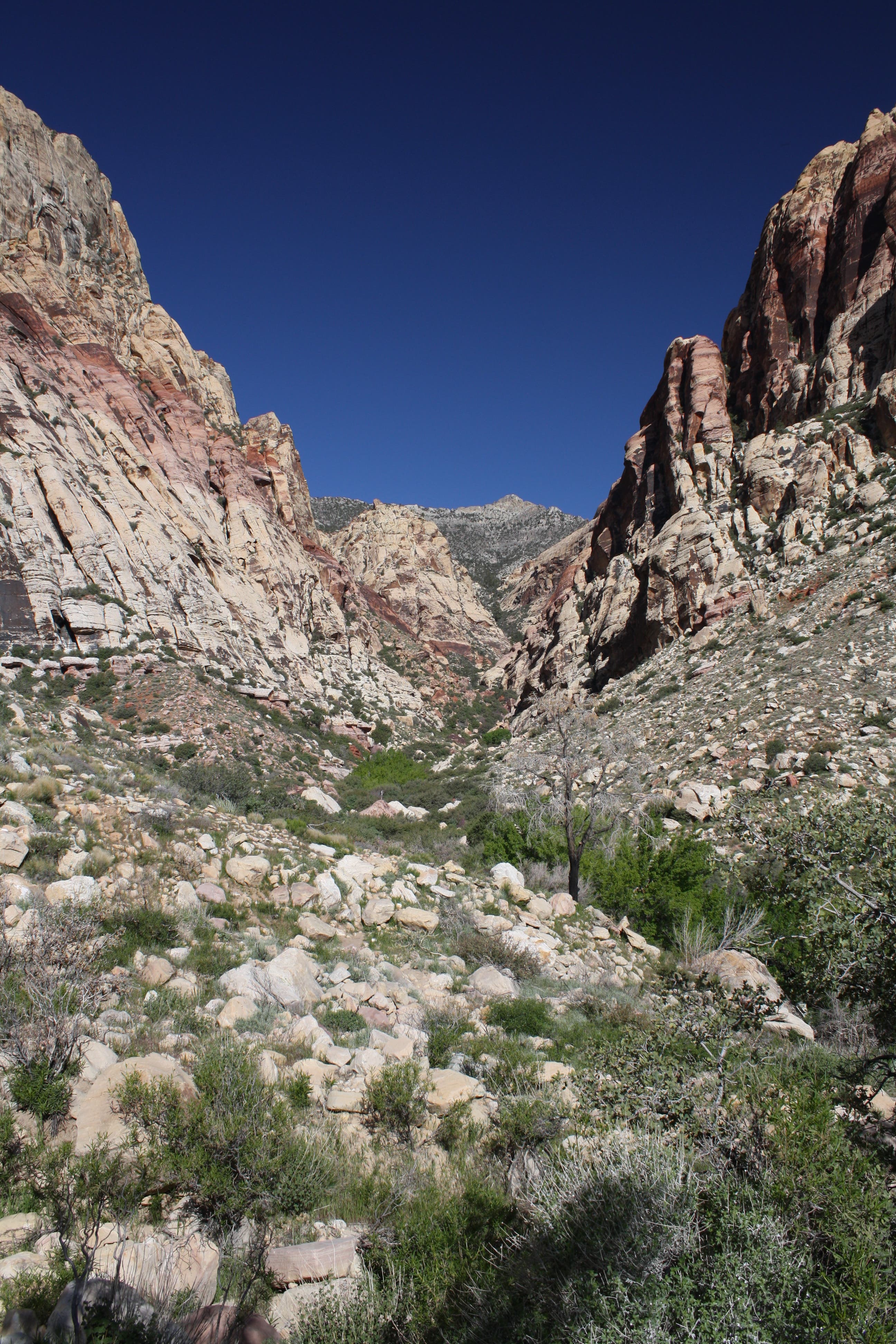 View up the canyon None