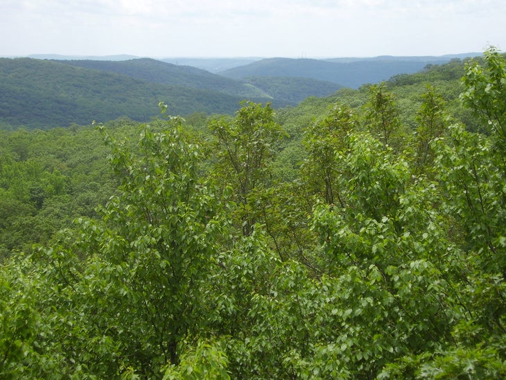 View3 None