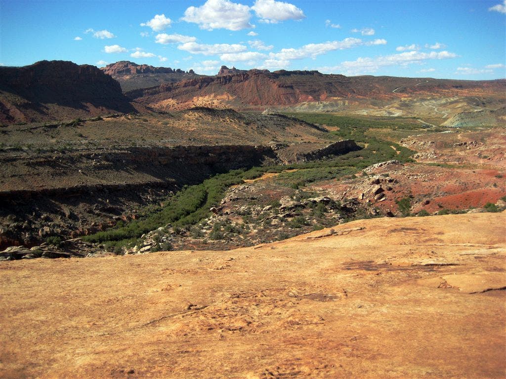 Views across Winter Camp Wash None