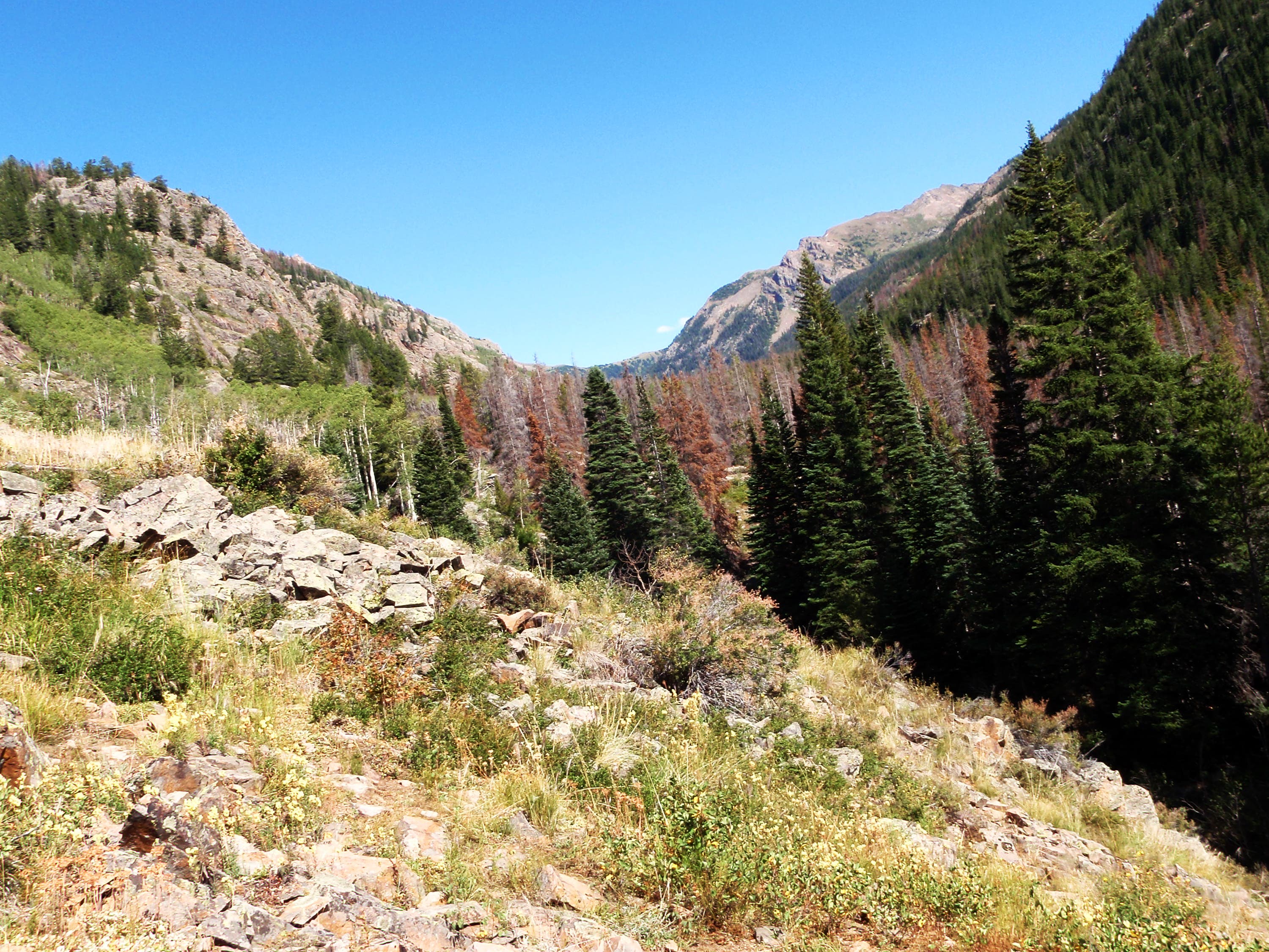 Views East on Gore Creek Trail None