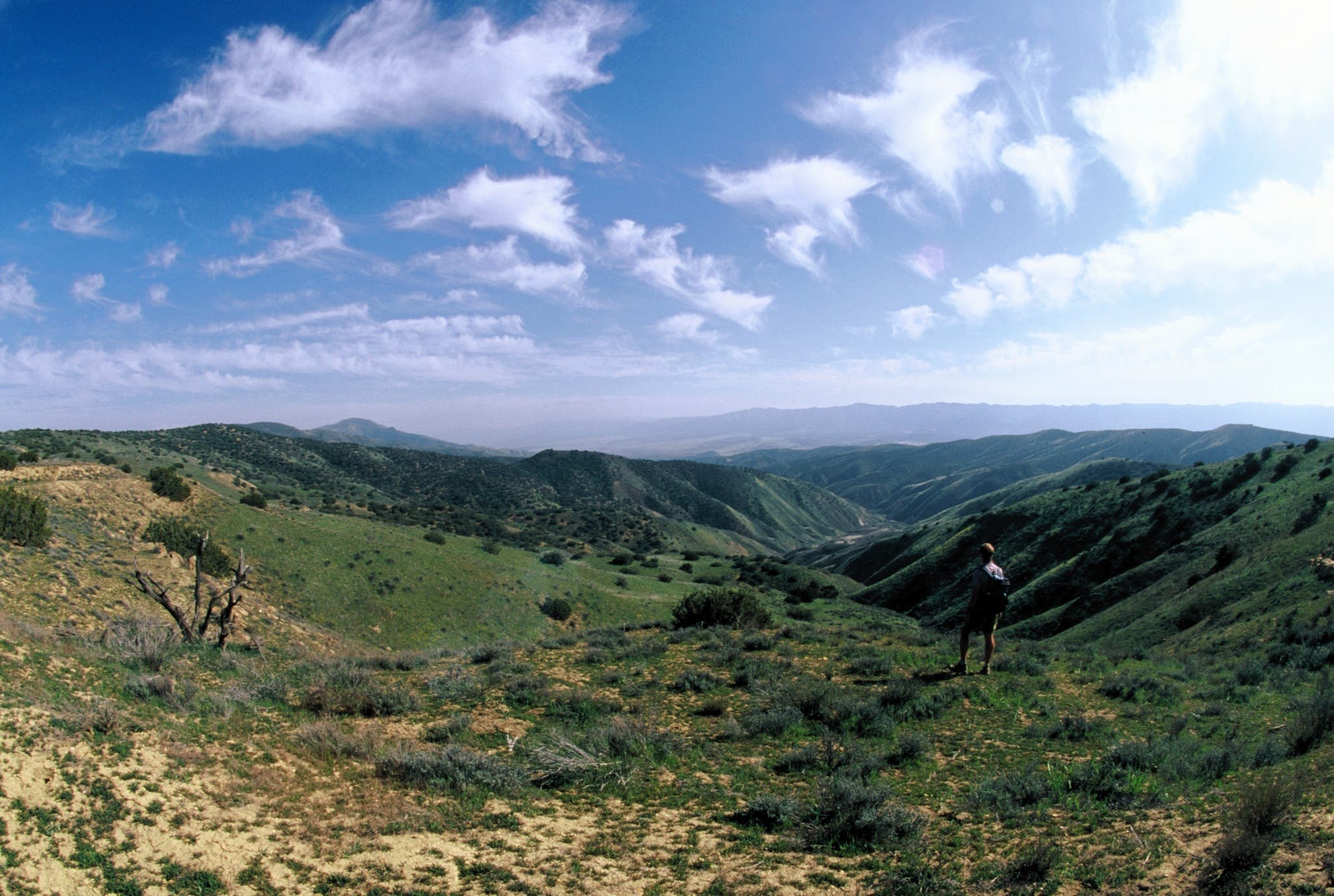 Views from Caliente Ridge None