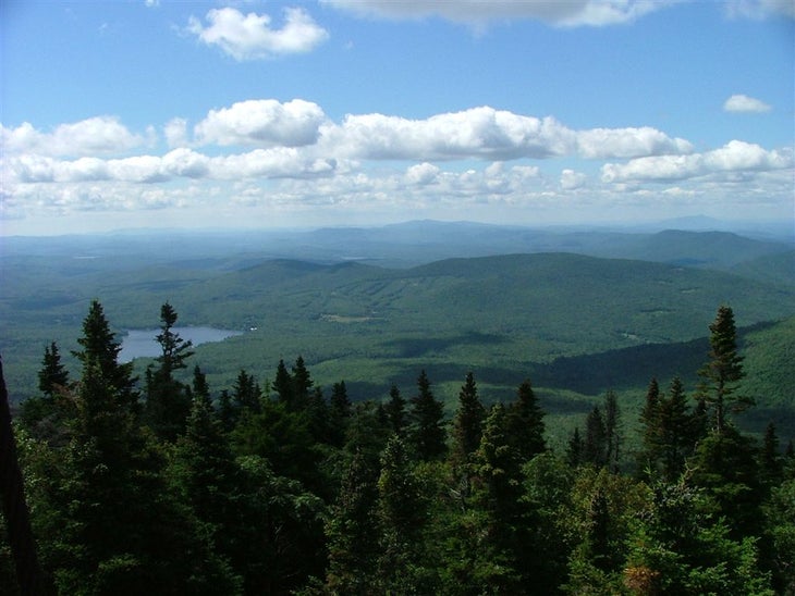 Appalachian Trail: Elm Street to Cape Moonshine Road