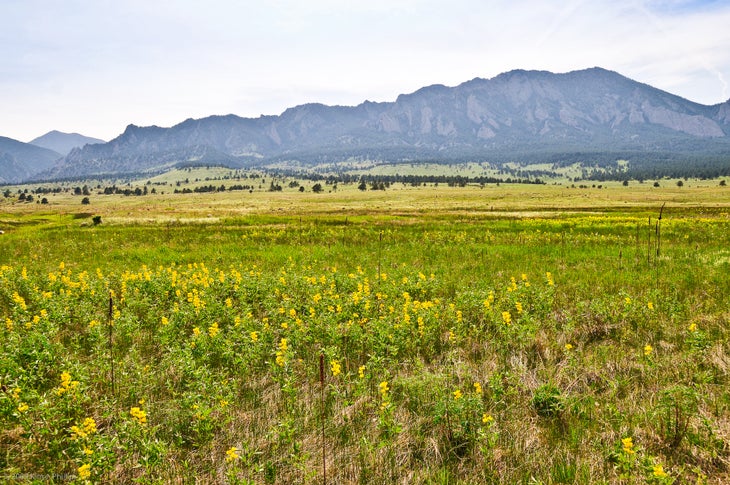 Views from South Boulder Creek Trail None