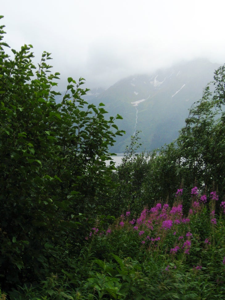 Views from the Trail None