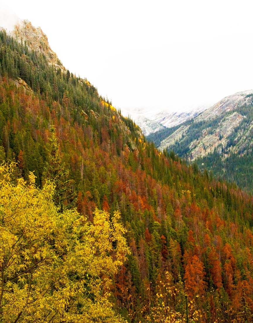 Views in the Hallett Creek drainage None
