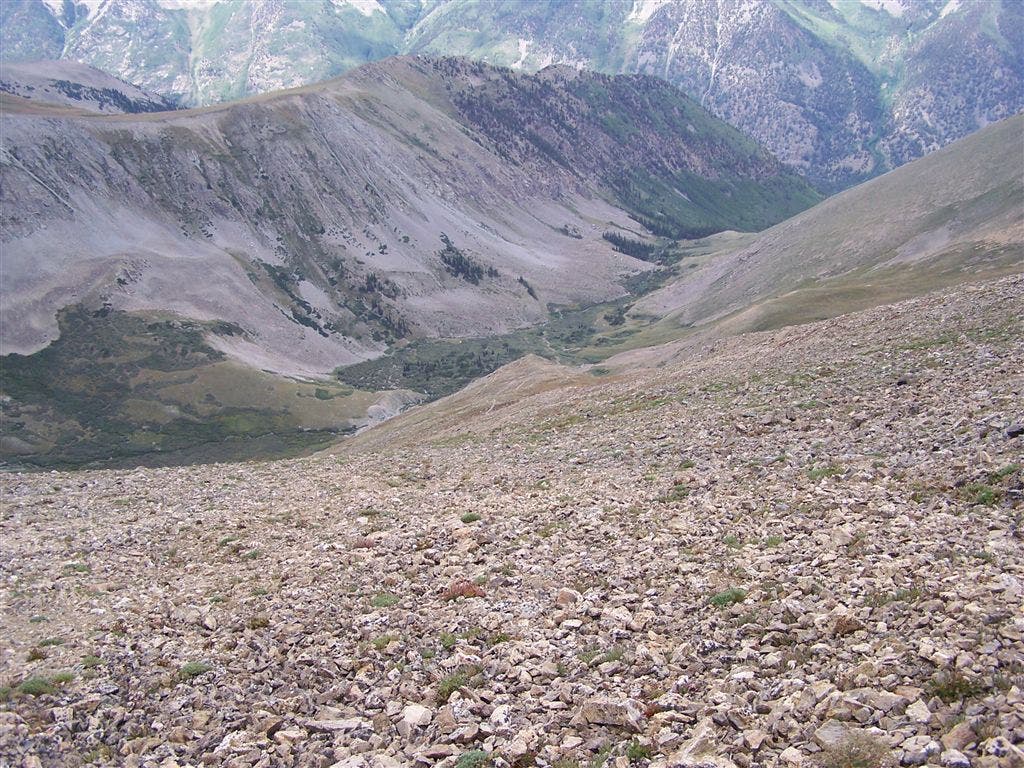 Views into Missouri Gulch None
