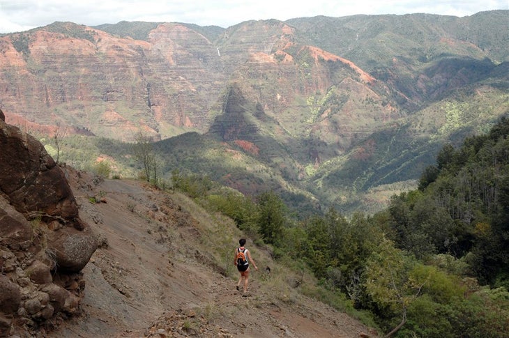 Views into Waimea Canyon None