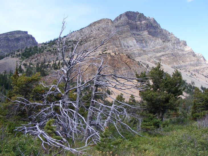 Views near Cosley Lake None