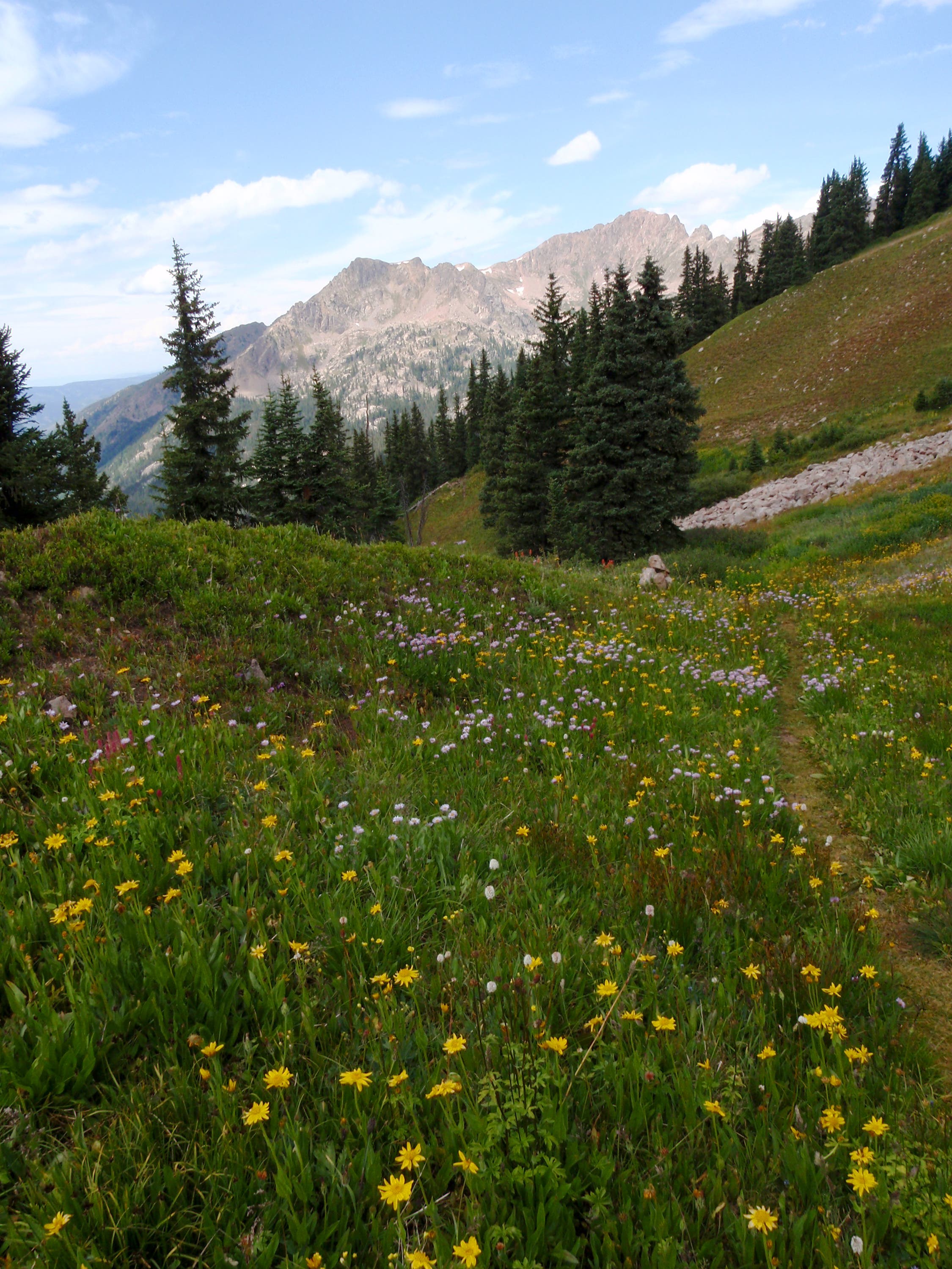 Views near Red Buffalo Pass None