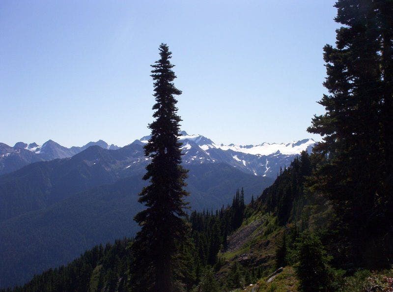 Views near the High Divide None