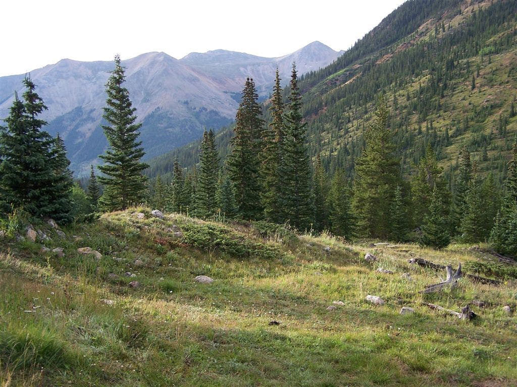 Views near the trailhead None