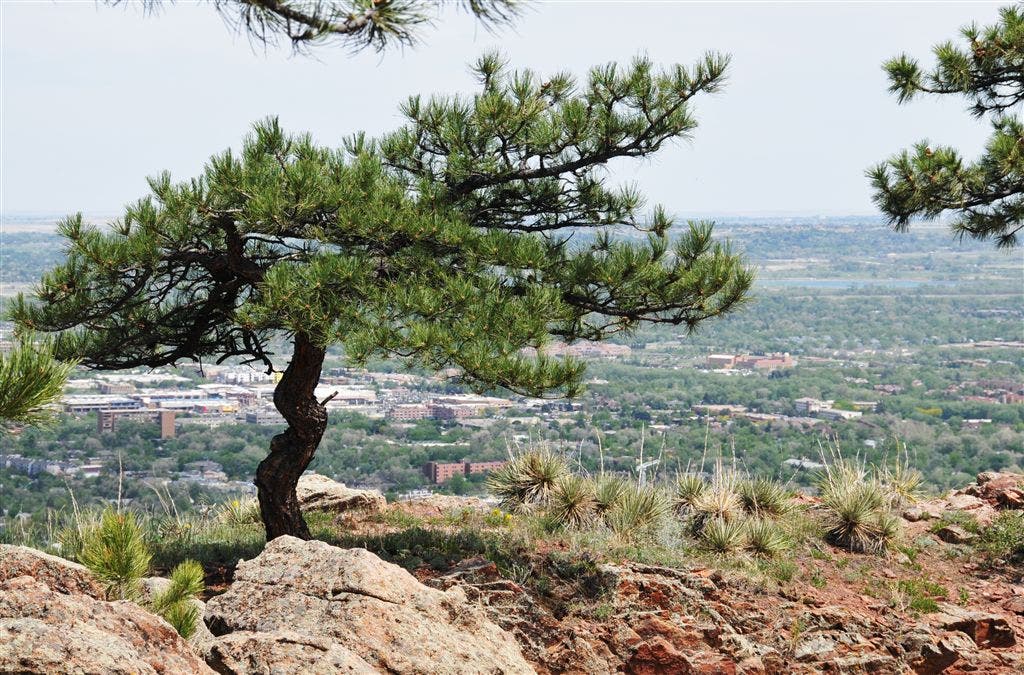 Views of Boulder None