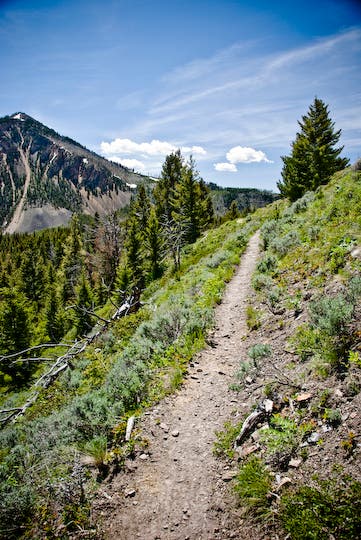 Views of Bunsen Peak None