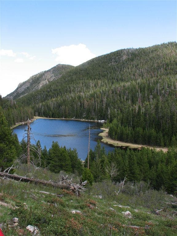 Views of Cub Lake None
