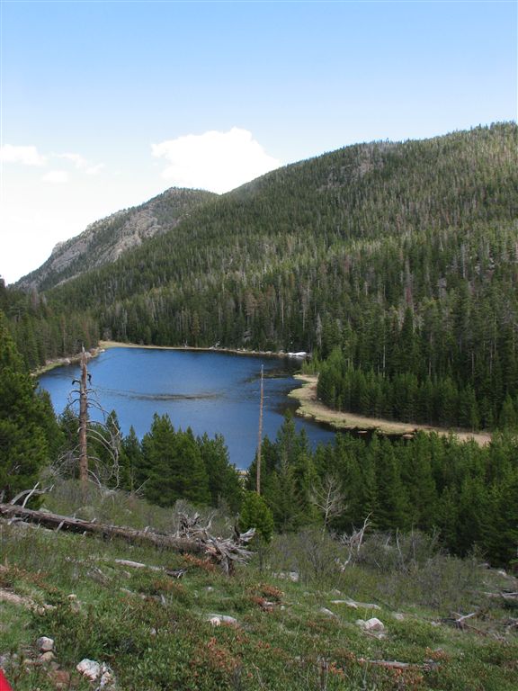 Views of Cub Lake None