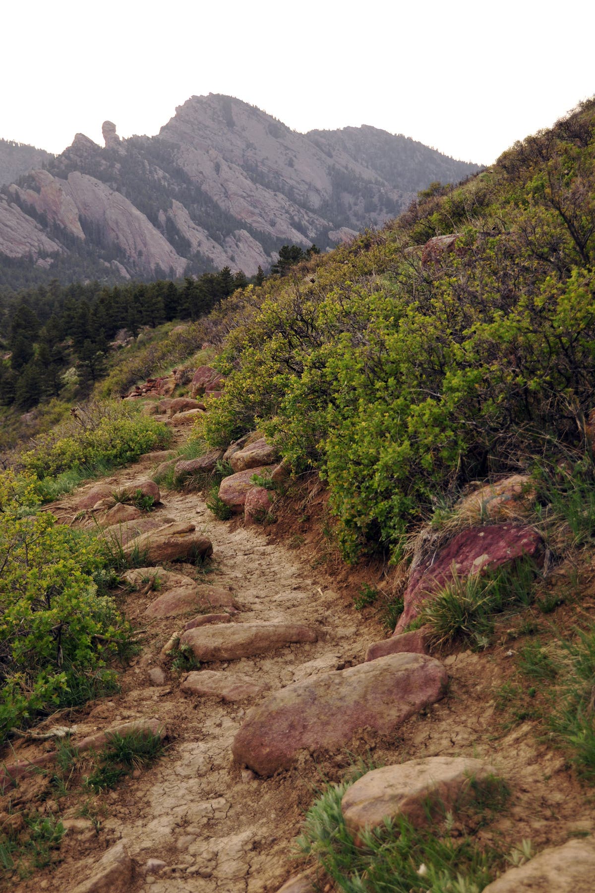 Views of Devils Thumb None