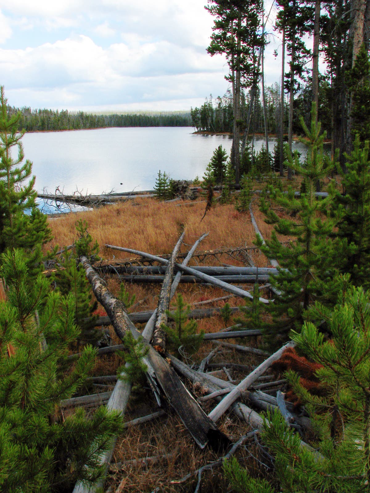 Views of Ice Lake None