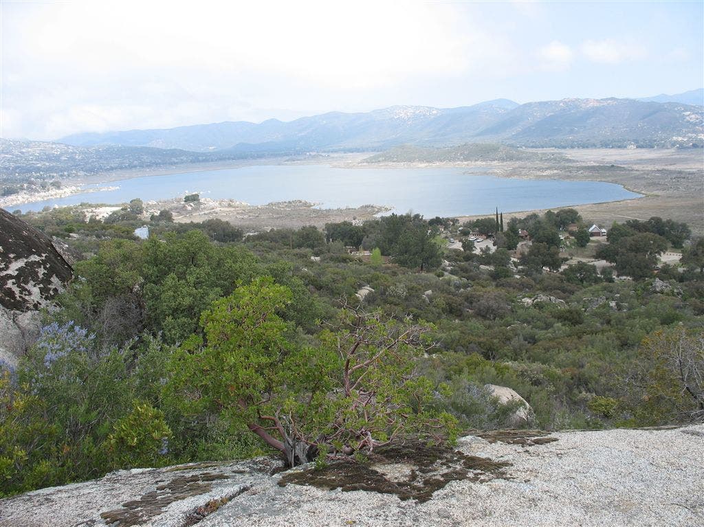 Views of Lake Morena None