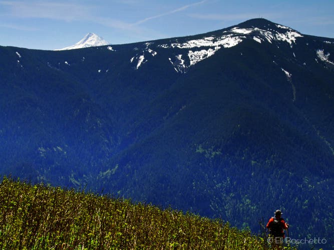 Views of Mount Hood None