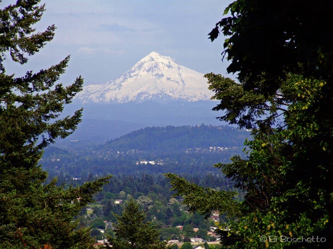 Views of Mt. Hood None