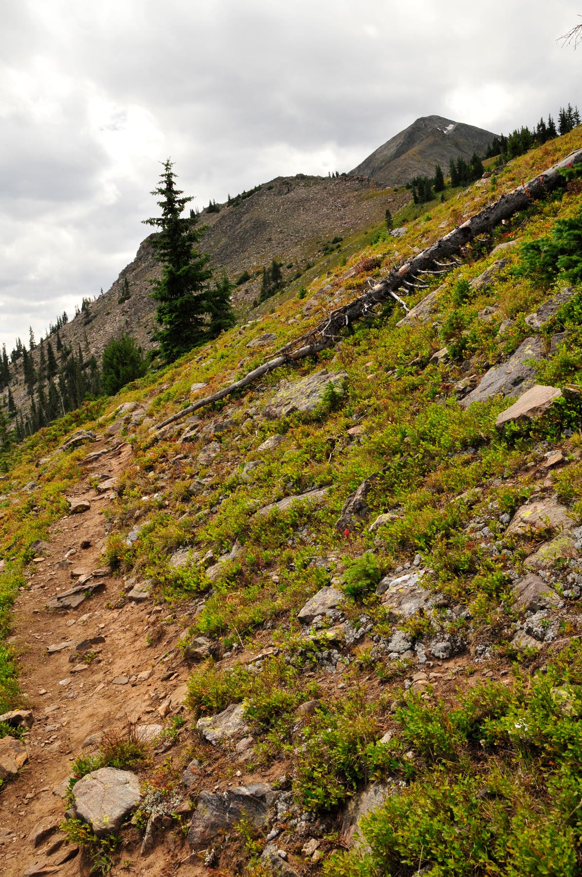 Views of Peak 1 None