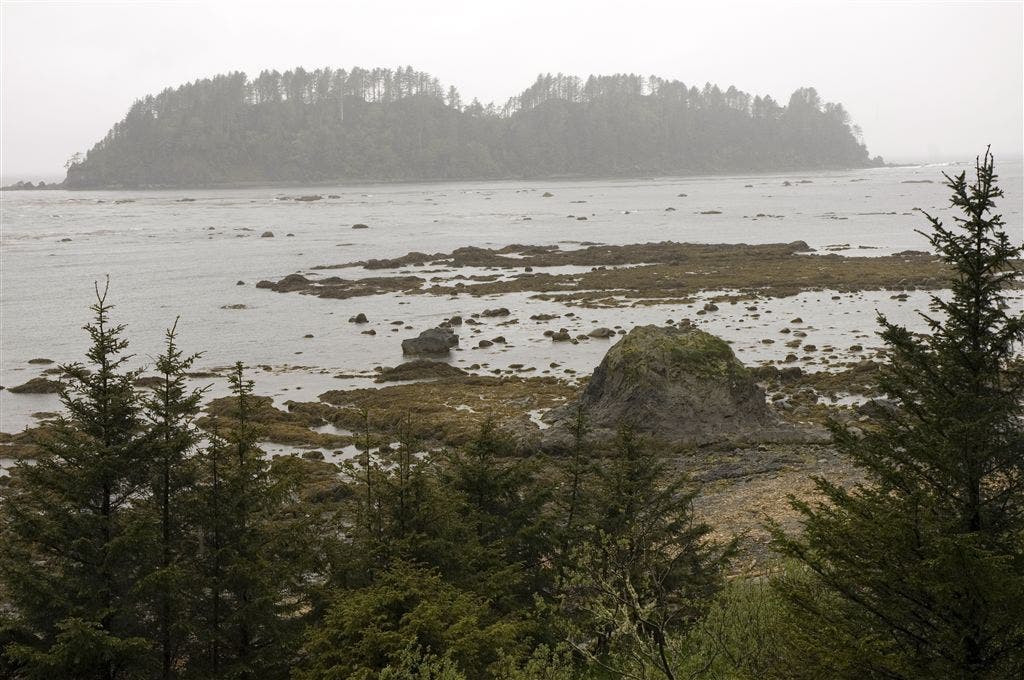 Views of Rocky Coast None