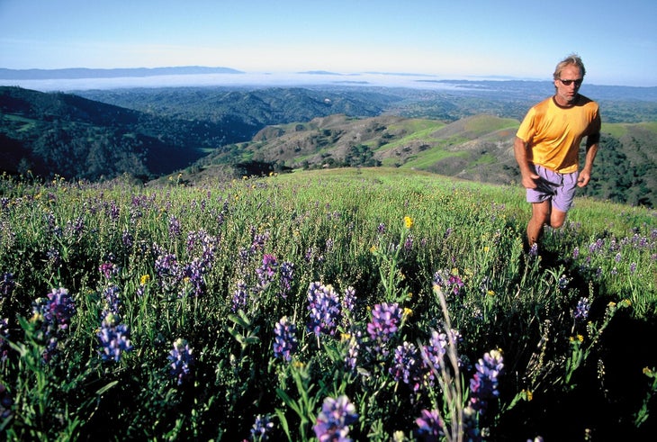 Views of Santa Barbara County Santa Barbara hikes