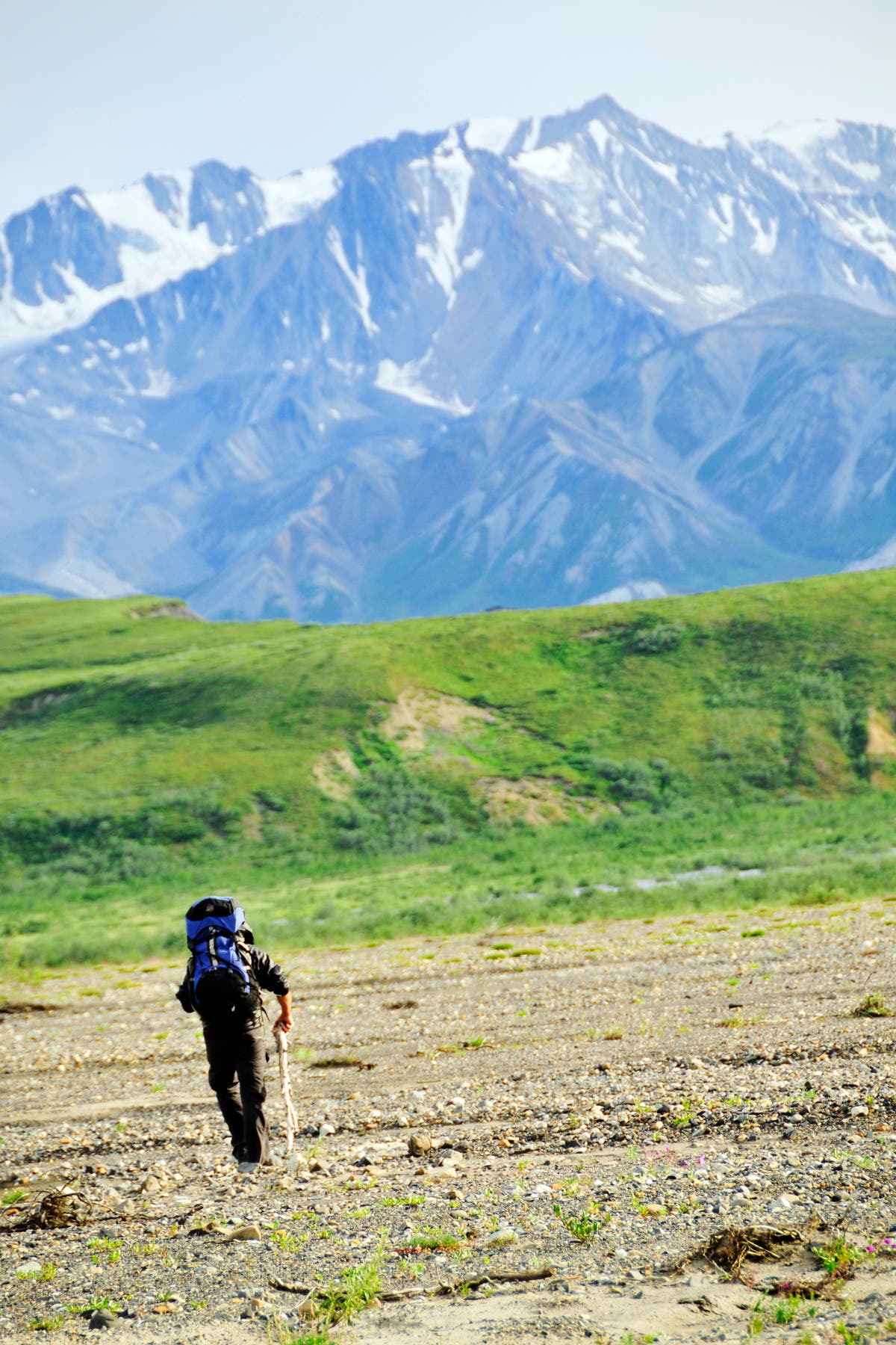 Views of the Alaska Range None