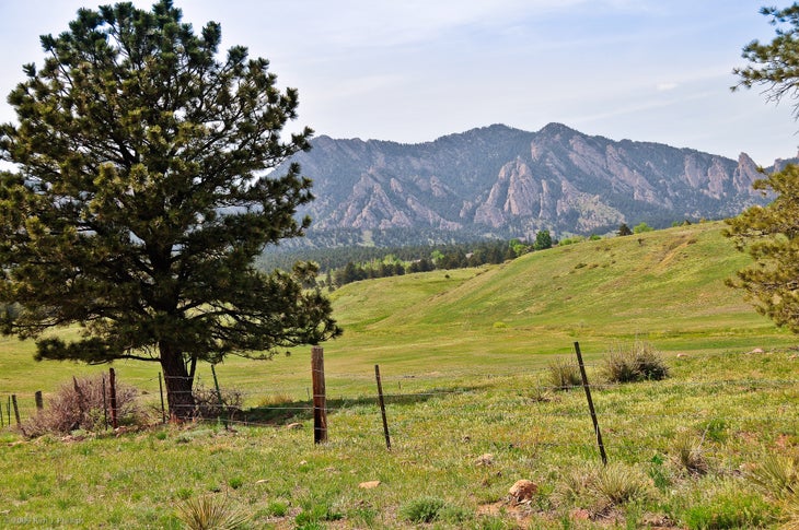 Views of the Flatirons None