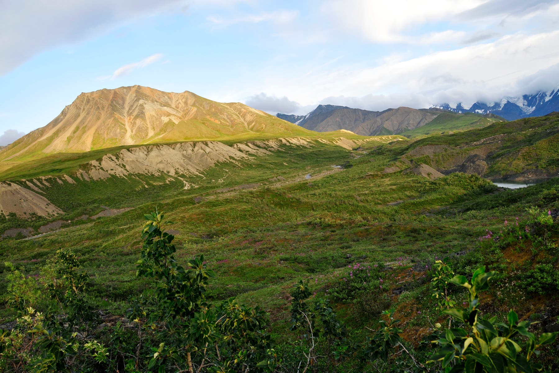 Views of the Glacier Creek Drainage None
