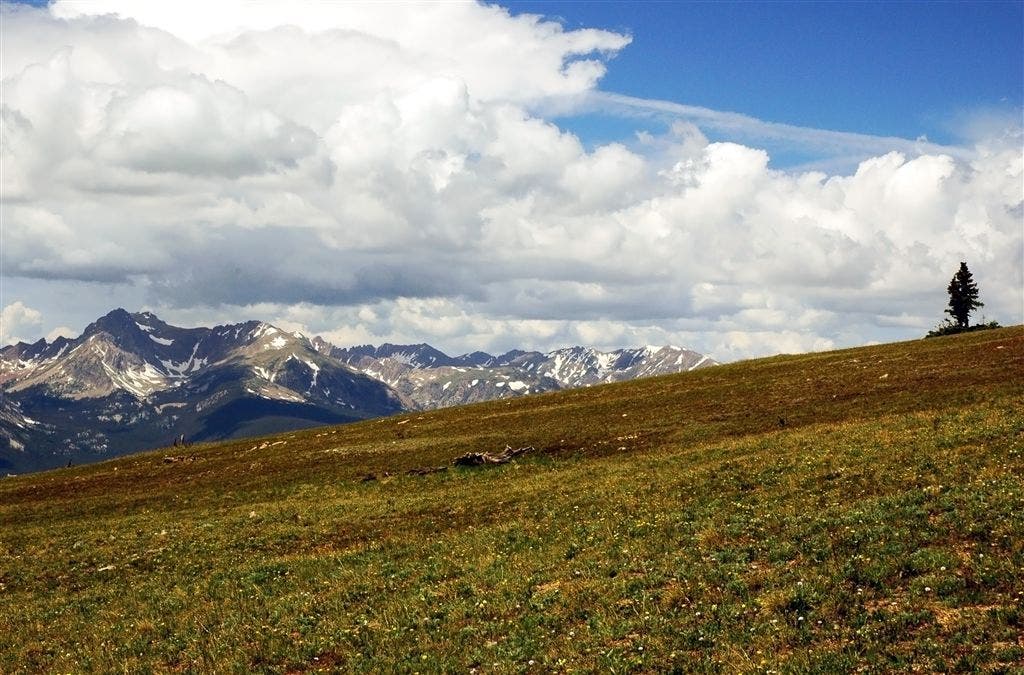 Views of the Gore Range None